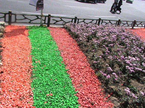 قیمت فروش عمده شن رنگی در تهران - بازار خرید و فروش انواع بذر | گل و گیاه